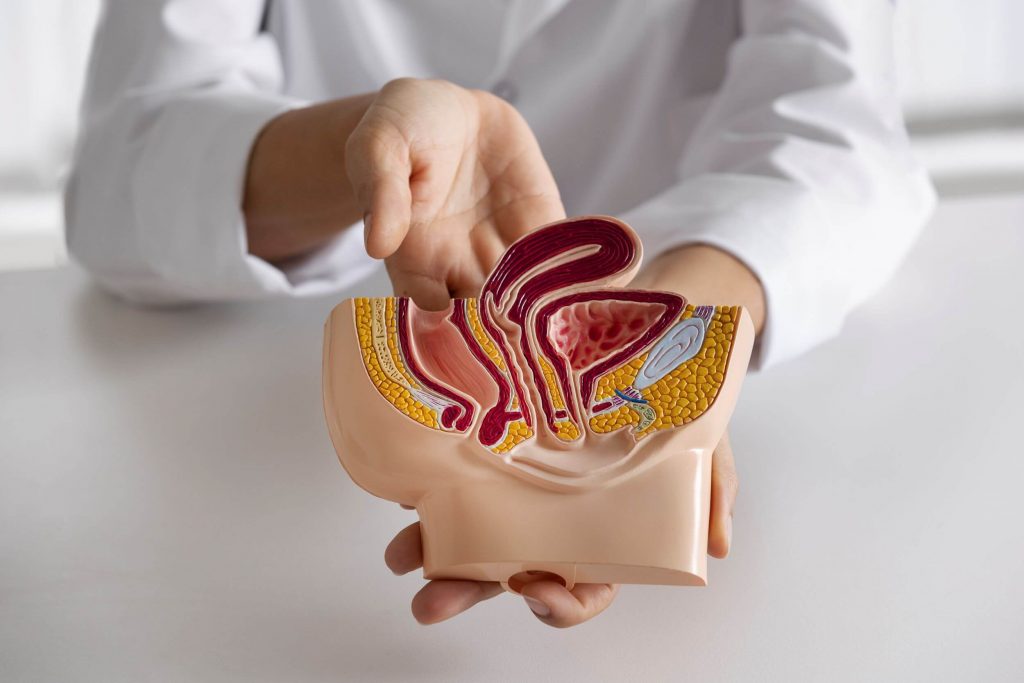 Urología Funcional: Abordando Trastornos Urinarios